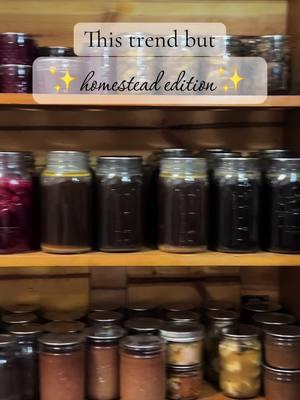 Where are my canners? #homesteadforbeginners #fromscratch #mybasichomestead #canningandpreserving #canningfood #rebelcanning #canning #canningforbeginners #canuary #beginnercanning #toxicfree 