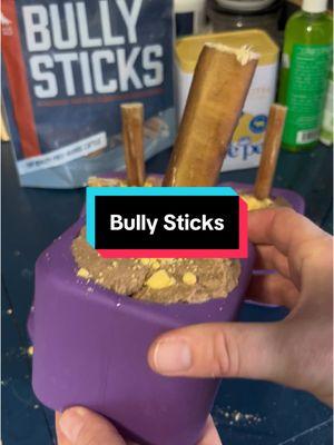 We love a good bully stick! #dogs #dogtok #dogsoftiktok #enrichment #dogenrichment #enrichmentfordogs #freezbone #dogtreat #dogtreats #bullystick #dogchew 