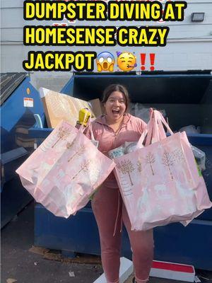 DUMPSTER DIVING 2 FULL DUMPSTERS😱🥳✨ Guys i found the craziest jackpot so far in 2025!!  2 Dumpsters Full of Christmas Stuff!! Just insaneee😱🥳🎄🎅🏻 #dumpsterdiver #dumpsterdiving #meldidumpsterdive #dumpsterfinds #dumpsterdive #homesense #tjmaxxfinds #homegoodsfinds #tjmaxxhaul #homegoodshaul 