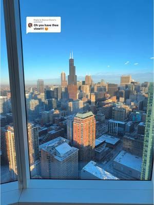 Replying to @Bianca Chene  and what a view it is.  Now we’re ready to move our things in and get comfortable. I’m so happy to take yall along with me. Let’s gooooo.  #homedecor #skyline #chicago #city #highrise #fyp 