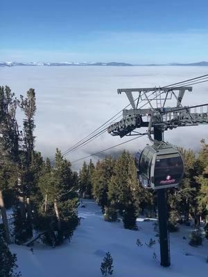 The perfect winter weekend away with Edgewood Tahoe🤎⛷️🎿 #travelagent #traveladvisor #travelobsessed #skiing #skivacation 