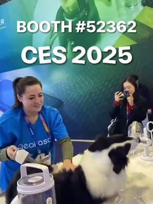 Groom Like a Pro: Home Pet Grooming Solutions? Check Neakasa's booth at CES! 💫 Tiffany & Prince Grooming Show ⏰ Jan 7-9 13:30-15:30 📍 CES Booth #52362 #neakasa #petgrooming #ces2025 #ces #petlove #dogs #petspa