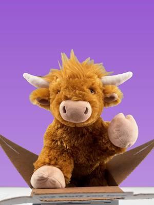 Our Shaggy Highland Cow is now in GIANT form! Find it online AND in the Workshop. Links in bio #TheStuffYouLove #buildabear #buildabearworkshop #giantplush #highlandcows #highlandcowplush #buildabeartiktok