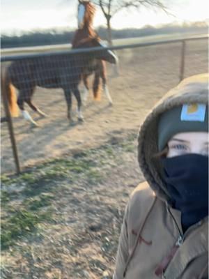 I wasn’t built for this🥲 #fyp #horsegirl #lifeofkate #oklahoma #crownkequine #whynotfyp #cuttinghorsesoftiktok #rodeotok #ncha #TeamVM #winterfashion #horsecommunity #winterishere #horsetok #ranchlife 