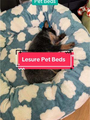 Puppy approved pet beds 🥹 #puppybed #petbed #dogbed #donutpetbed #petbeds #blueheeler #blueheelerpuppy #blueheelersoftiktok #puppiesoftiktok #dogsoftiktok #dogs #petsupplies #lesurepet #lesuredogbed 