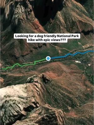 Looking for a dog friendly hike in a National Park that comes with some pretty incredible views??? We got you 👇🏼 Pa’rus Trail in Zion National Park 📍 Let’s face it… National Parks are well known for NOT being very dog friendly places 🐶 We’ve found some that actually are quite dog friendly (Such as Zion and The Grand Canyon) if you do a little digging. If your pup absolutely loves hiking like ours… there’s definitely some solid options out there like this one 🥾 This trail does take off from the Visitor Center as do most dog friendly National Park hikes but there’s absolutely no shortage of incredible views 😍 It’s a total of 3.5 miles out & back and it’s paved most of the way making it great for families, wheelchairs, or most anyone 👍🏼 Pro tip: Start out by grabbing a Coffee at @zioncanyoncoffee first (it’s walking distance) and finish by grabbing a beer at @Zion Brewery (also walking distance from the trailhead). Both places have outdoor patios so you can enjoy with your furry friend 🫶🏼 #utah #utahtravel #zion #zionnps #travelutah #zionnationalpark #couplestravel #dogfriendly #canyoncoffee #coffeeviews #petfriendly #alltrails #southwest #roadtrip #roadtripusa #usaroadtrip 