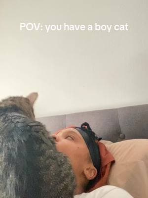 #cat #boycatmom #boycatsoftiktok #catsoftiktok #tabbycat #catmom #felinefriends #foryoupage 