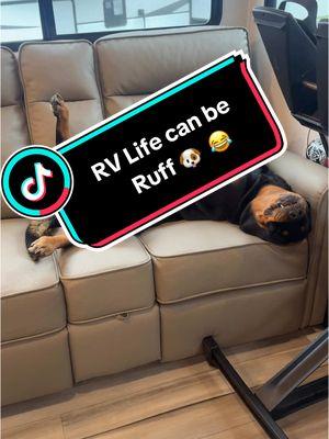 🎥 Ready to record some RV projects, but when Cali’s napping, everything waits! 🐾💤 Our fur baby takes over the couch—even though she has her own bed. Who else lets their dog rule the RV? 😄🐾💖 From RV projects to cozy moments like this, Cali keeps us smiling every step of the way. ❤️🐾 📍 Follow along as we share our adventures on the road, making memories with our pup and taking on exciting RV upgrades. 🛻✨ #RVLife #DogOnTheRoad #RVingWithDogs #dog #nap #TravelTrailerLife #AllianceRV #Delta #RV #TravelTrailer #MarriedLife #YouTubers #RVTips #RVCouple #RVLiving #DIY #VenturesomeCouple #EnjoyEveryMoment #rottie #rottweiler #dogsoftiktok 