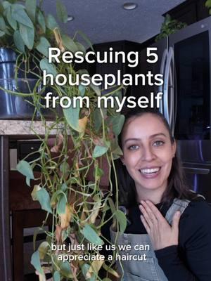 Replying to @Sadie The winters are not gracious with some of my houseplants right now but remember, if there’s green there is something to save!  We can always fix it or attempt to at least.  How are your houseplants doing this time of year?  #planthelp