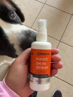 I’m glad I finally found something to help him! #dog #saintbernard #dogskincare #dogspray @Puainta Us 