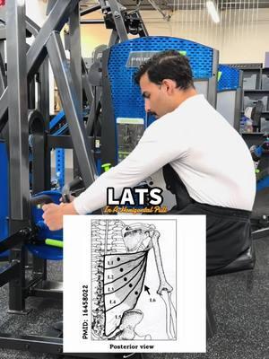 The lats use the rib cage for leverage #lats #exercise #workout #gym #GymTok #fitness 