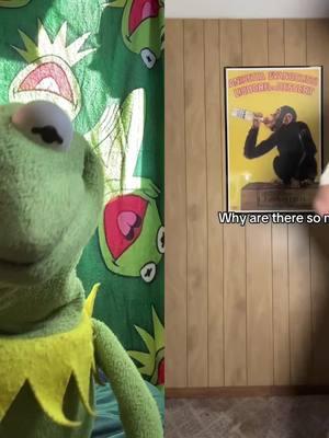 #duet with @MackDaddy #fyp #rainbowconnection #jimhenson #kermit #muppets 