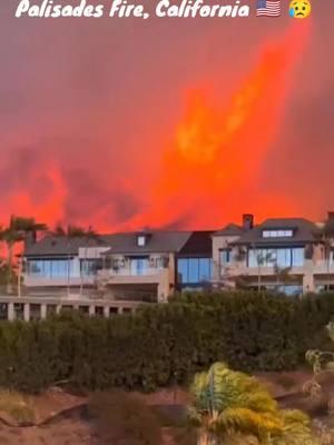 Palisades fire burns as dangerous windstorm slams southern California. #palisade #fire #usa #california #losageles #wildlife #la #windstorm 