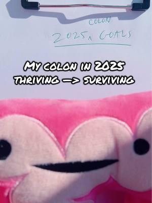 Colon had high hopes for 2025.💔🚽🧻💩#expectationvreality #coloncancer #colon #colonproblems #colonpolyp #ibstok #ibs #crohnsdisease #crohns #medhumor #plushies #weirdtok #medhumor #pelvichealth #pelvicfloorpt 