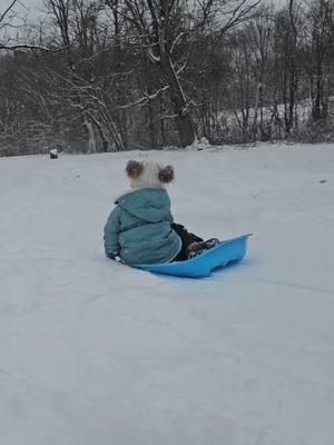 The snow is dumping down and we are taking full advantage of it. Im so freaking exicted for all this snow we are getting and so are the kids they want to be out all day and im out with that. #toddlermomsoftiktok #snowday #toddlermom #MomsofTikTok #momof2 #kidsgrowuptofast #fyp #momsover30 