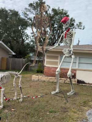 #skeletonmoves #florida #dancing #texas 