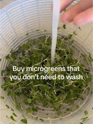 Buy the microgreens you don’t need to wash. That would be ours ✅ #pesticidefree  #microgreens 