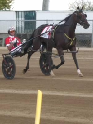 At the #1 Spot of our #Top10 is Dexter Dunn! #harnessracing #ustrotting 