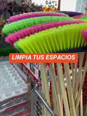 ¡Limpia tus espacios y renueva tu hogar con nuestras ofertas! 🛒 Consigue cepillos y palas al mejor precio en ISO Home🏡  ¿Listo para dejar todo impecable? #ferreteria #hogar #isohome #Home #cepillo #pala #limpieza 