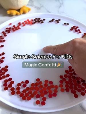 Magic Confetti 🎉  an easy kids science experiment that’s always a family favorite! #science #kidsactivities #kiwico #scienceforkids #scienceexperiments #LearnOnTikTok 