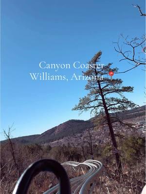 Thrills, views, and unforgettable memories at Canyon Coaster Adventure Park in Williams, Arizona! 🌄 🎢  . . #canyoncoaster #williamsarizona #canyoncoasteradventurepark #flagstaff #phoenix #thingstodoinarizona #adventure 