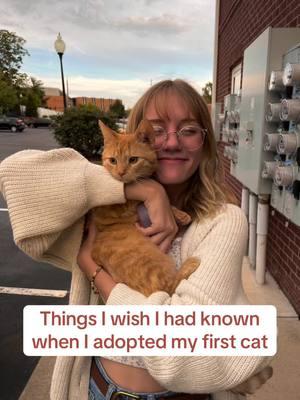 A few things I wish I had know when I adopted my first cat #cats #catsoftiktok #felinenutrition #catadvice #catnutrition #petadvice #cathealth 