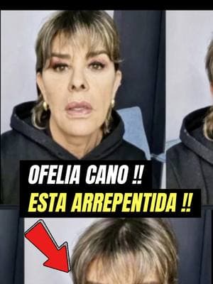 Ofelia Cano Audios" a Romina, se muestra arrepentida ‼️Ofelia Cano habla de Dulce #OfeliaCano #OfeliaCanoAudios  #ofeliacanoysusaudios #ofeliacanohabladedulce 