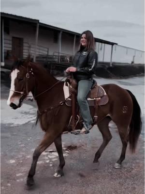 Bernie 😎#CapCut #bernie #1 #1 #slowsuave #barrelracing #repetoffender #texashorse 