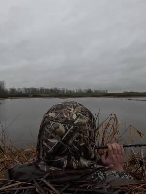 Sometime when I get bored, I get caught peeking.  #waterfowl #duckhunting #hunting #ducks #hunt #waterfowlhunter #waterfowltok #huntin #geese #birds #nature #Outdoors #beautiful #getoutside #getoutmore #benelli #franchi #hapoy #cheers 