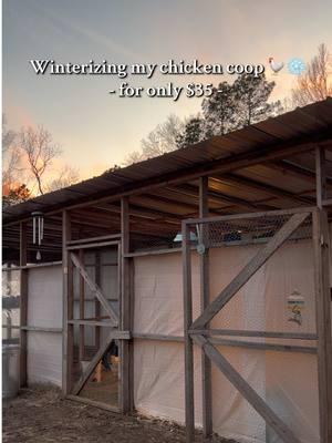 Winterizing the coop with my Dad! 🐓❄️ #chickencoop #chickencoopdesign #winterizingchickencoop #homestead #farmanimals #chickenhacks #chickencoopdiy #chickens 