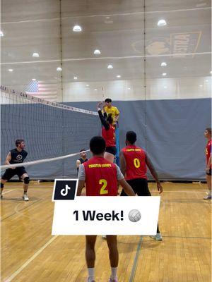 1 week into the New Year…and so much volleyball has yet to be played! 🏐🤩 #VolleyballTournament #VolleyballWorld #CoEdVolleyball #VolleyballPlayers #LongIsland #LongIslandNY #NewYork 