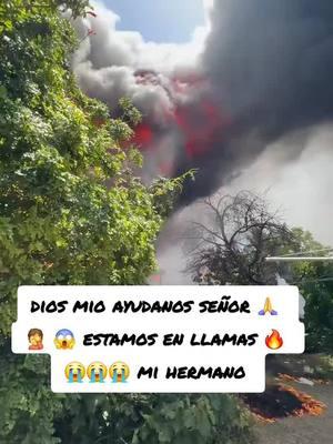 #parati #videoviral #atrevidoelpollito #fyp  los ángeles esta en llamas 🔥 