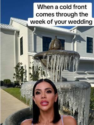 Anyone else being just a little dramatic this week? 🥶❄️  #weddingweek #boxwoodmanor #texasweather 