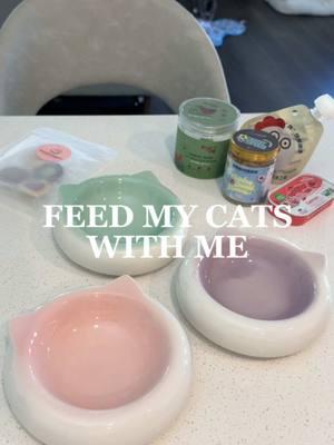 Feed my cats with me 🤍  Bowl Highlights 🍽️ ⟡ @smallsforcats Pulled Other Bird ⟡ @Open Farm Pet Salmon Mousse Topper ⟡ @Petit Pawtisserie Treats ⟡ @Cosmicos Petbakery Chicken Breast Flowers ⟡ @Arya.Sit Cat Grass Discounts 💌 🔖 “SIMPLEKITTIES15” | 15% off Open Farm 🔖 Smalls Free Sample Box in bio 🔗 ($10 Shipping) 🔖 “SIMPLEKITTIES15” | 15% off Cosmicos 🏷️✨ #catparent #catcare #catfood #petfeeding #cattreat #cattreats #pettreats #whatmycateats #whatifeedmycats #feedmycat #feedmycatswithme #feedingmycats #cateating #catfeeding #feedingcats #catfeedingroutine #catfoodprep #catfoodrecs #catfoodideas #petfood 