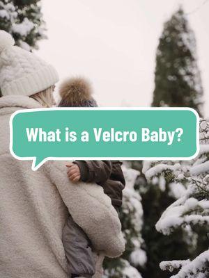 🤱✨ Velcro Baby? It’s a Sticky–but Sweet–Season ✨ If your little one clings to you like Velcro, you’re not alone! This “clingy” behavior isn’t just normal—it’s a sign of healthy, secure attachment. 💛 While it can make daily tasks tricky, experts agree it’s all about building trust and connection. ✔️ Lean in, don’t stress—Embrace those extra cuddles as a chance to recharge. ✔️ Create routines—Predictability helps your baby feel safe and calm. ✔️ Communicate openly—Even if they don’t fully understand, verbal reassurance matters. ✔️ Take baby steps—Gradual separation builds confidence for both of you. ✔️ Self-care counts—Carve out small moments for YOU, even if it’s just a shower! 🚿 This season is temporary, but the bond you’re building is forever. 🌈 You’ve got this, mama! 🙌 #VelcroBaby #ParentingJourney #ClingyBaby #SecureAttachment #MotherhoodUnfiltered #ParentingTips #CuriousBaby