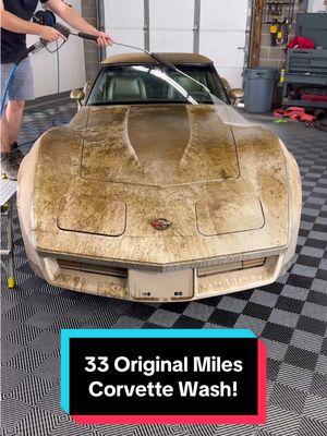 33 Original Miles Corvette First Wash Since Brand New! #wddetailing #detailing #carwash #carcleaning #satisfying #satisfyingvideos #barnfind #fyp #abandoned #cardetailing #pressurewashing #asmr #trending #trend #corvette 