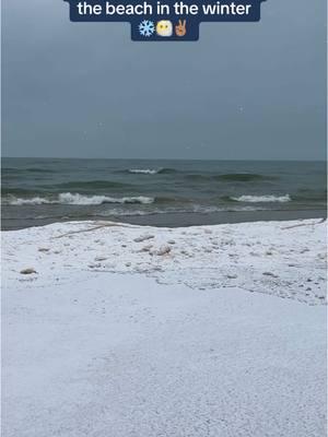 #nature #lakemichigan #themitten #winter #ice #iceshelf #snow 