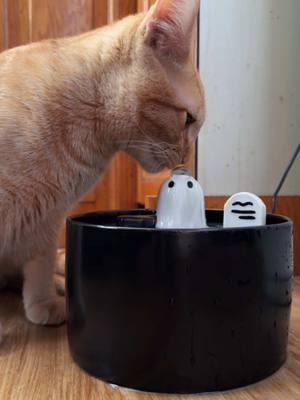 Calling all Halloween-loving pet parents! 🎃🐾 This is your sign to treat your furry friend to the gothic drinking fountain by @HappyandPolly  With its spooky vibes and functional design, it’s the perfect blend of eerie and adorable for your home. Your pet deserves a little Halloween magic too! 🕸️🖤 #happyandpolly #petfountain #gothicfountain #spookyfountain #halloween #everydayishalloween 