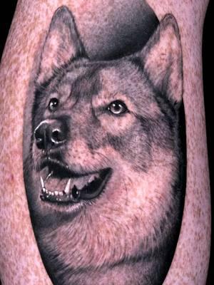 no such thing as too many dog puns 🦴 #InkMaster #tattooideas #tattoo #dog #corgi