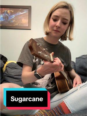 sugarcane (bc I got my new @Missy Higgins shirt and I’m excited🩶) #missyhiggins #sugarcane #singer #musician #ukulele 