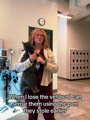 A good pen is worth fighting for 🕺 #vet #veterinary #vetmedhumor #vetmed #veterinarytechnician #vetmedlife #funny #gqervet #fyp #cat #cutecat #greycat 