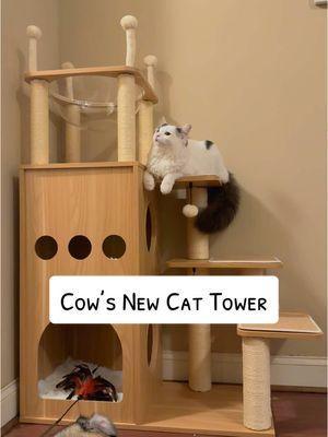 Upgrade your cat’s kingdom! 🐾 Meet the modern cat tower your fur baby will actually use – the purr-fect mix of style and comfort 🐱💼  #cattower #cattree #CatApproved #ModernPetLiving 