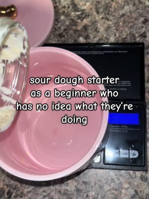 I’m officially in my homesteading era— Now for this man to just wife me up🤣 #sourdoughstarter #sourdoughstarterday3 #homesteader #homesteadersoftiktok #sourdoughmom #sourdoughbread #homemadefood #beginner #fyp #fypage 