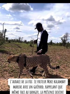 L’audace de la foi: Le pasteur Mike kalambay marche avec un guépard, rappelant que même face au danger, la présence divine assure sa protection  #mikekalambay #maajabu #maajabugospel #guepard #calling #me #rosnykayiba #newsong #viral #tiktok #mike #kalambay #facebook #congolais 