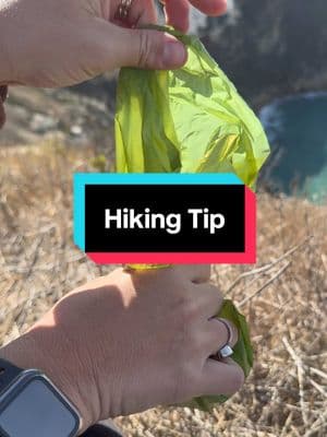 Hiking Tip: Bring Dog 💩 Bags #hike #Hiking #hikersoftiktok #hikingtips #hikingtip 