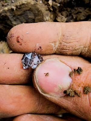 Herkimer Diamonds in New York ⛏️💎 . . . . . . . . . . . . . . . .. . .. . . .. . . . . . . . . . . . . . . . . . .. . . ... .. . . . . .   . . .. . . . . . . . . . . . . . . . . . . . . . . . . . .   . #reels #reelsfb #thefinders #instagram  #crystals #Herkimerdiamonds #herkimer2025 #rocks #thefinders #crystalhunt #fyp #awesome  #rockhound #thefinders #amazing #beautiful #geology #newyork #foryou  #entertainment  #entertaining #foryoupage #quartz #crystalhunt #gem #discoveringminerals 