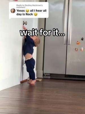 Replying to @Destiny Heckman nacks on nacks on nacks 🤠 #toddlersoftiktok #babiesoftiktok #toddlermeals #toddlersnacks #todderlife #MomsofTikTok 