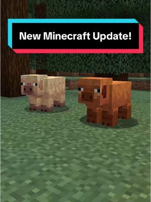 New Features Coming To Minecraft’s 2025 Update! #Minecraft #fyp #minecrafter #minecrafttiktok 