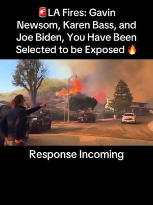 Call ‘em out. #pasadena #losangeles #wildfire #housefire #socalfire #socal #alexpadilla #gavinnewsom #joebiden #clownshow #foxnewschannel #lafire #californiafire #firefighter #viralvideo 