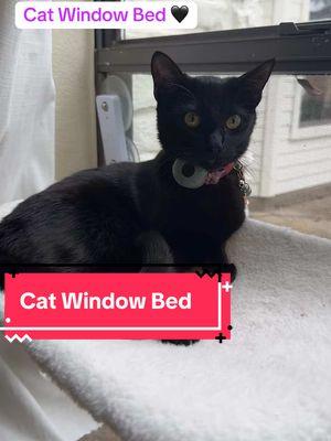 Cat window bed is a must have! They love lounging here in the morning sun 🩷 #catbad #catwindowbed #catperch #cathammock #catmusthaves #cats #catmom #cattok #catvideos #kittenbed #catbeds #tiktokshopjumpstart #fashionlookbook #TikTokShopLoveAtFirstFind  #tiktokshopjumpstartsale   #newyearnewaura #mademyyear 